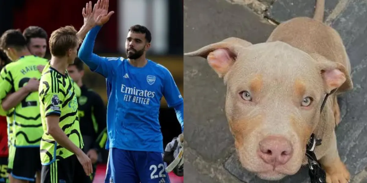 Arsenal star David Raya has an XL banned bully to guard him from burglars.