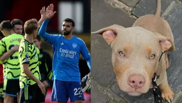 Arsenal star David Raya has an XL banned bully to guard him from burglars.