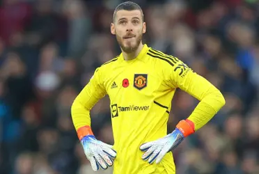 David de Gea tweeted the Cold Face emoji after Manchester United's loss to Newcastle, generating numerous comments in England.